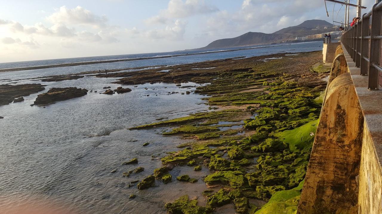Vcv Marta Canteras Beach Лас-Пальмас-де-Гран-Канария Экстерьер фото